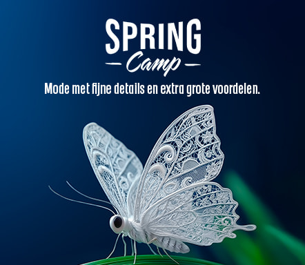 SPRING CAMP