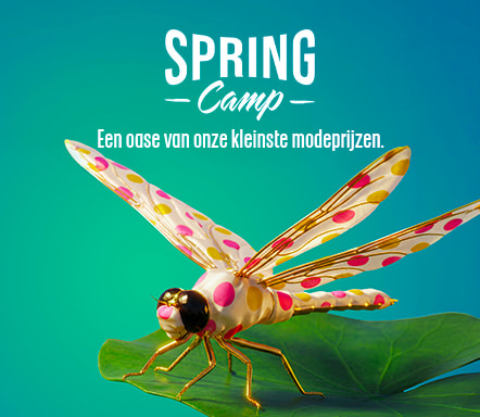 Spring Camp