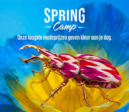 Spring Camp