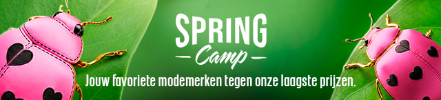 SPRINGCAMP2026_DAILY