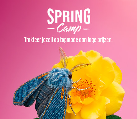 Spring Camp