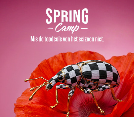 SPRING CAMP