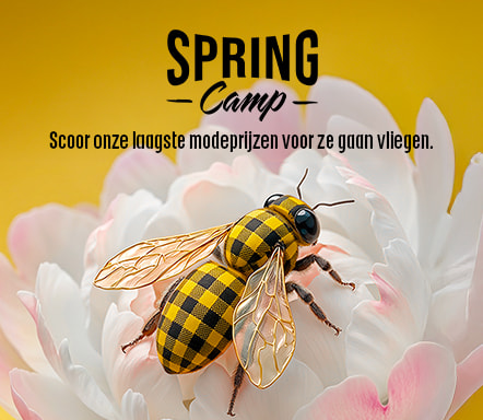 Spring Camp