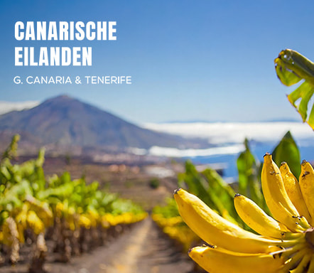 Canarische Eilanden: Gran Canaria en Tenerife