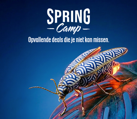 SPRING CAMP