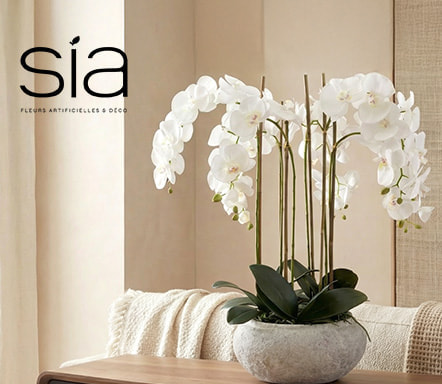 SIa