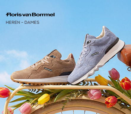 Floris van Bommel