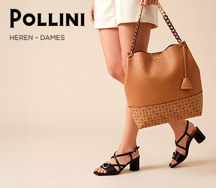 Pollini