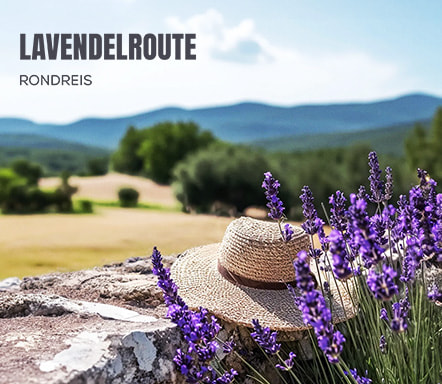 Lavendelroute | Rondreis