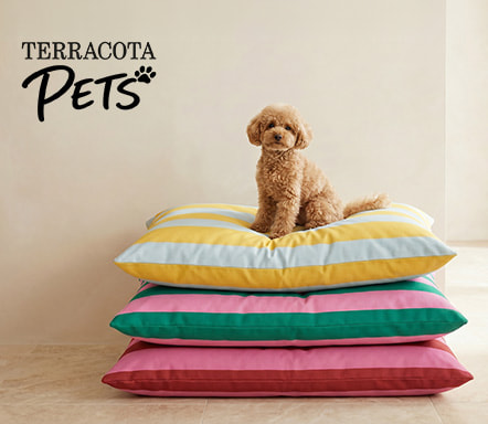 Terracota Pets