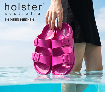 Holster