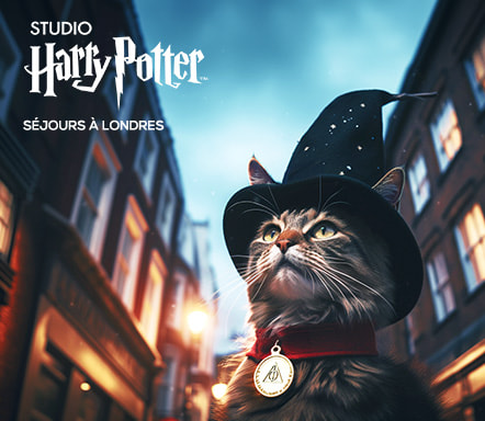 Studio Harry Potter - Séjours à Londres