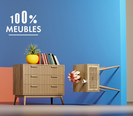 100% mobilier