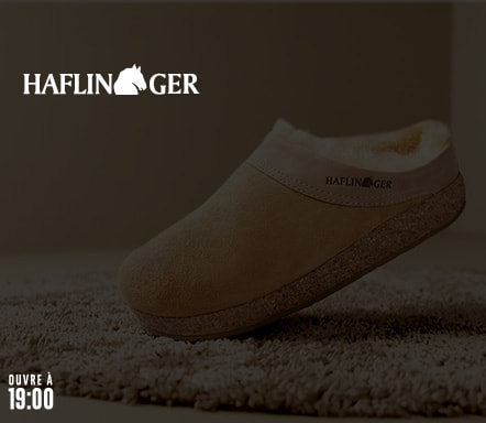 Haflinger