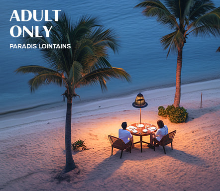 Adult only - Paradis lointains