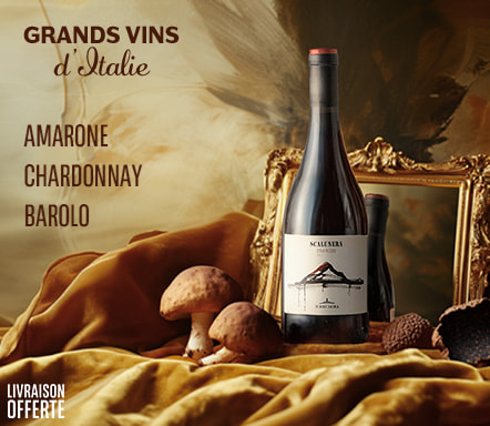 Grands vins d'Italie