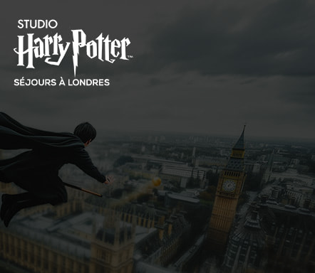 Londres x Studio Harry Potter