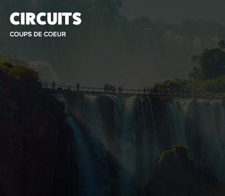 Circuits coups de coeur