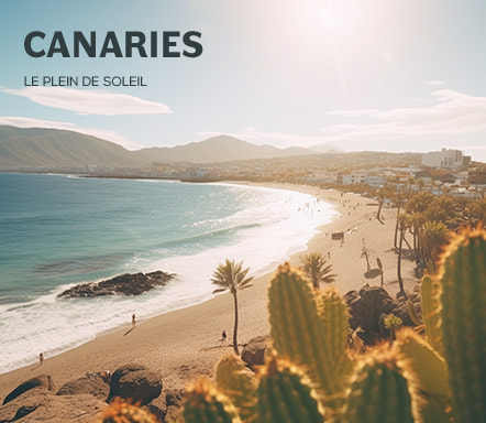 Canaries – Le plein de soleil