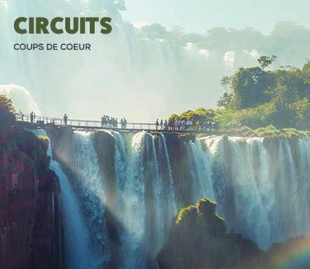 Circuits coups de coeur