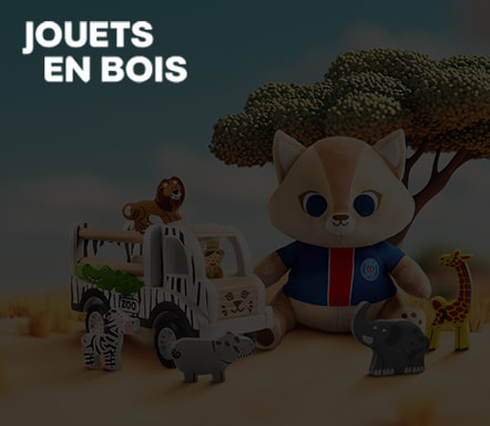 Jouets en bois