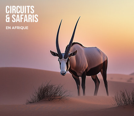 Afrique : Circuits et safaris