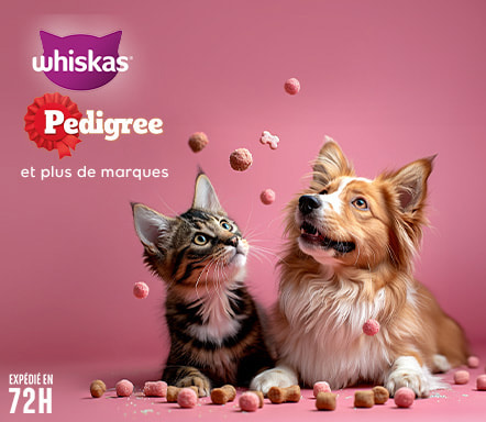 Pedigree & Whiskas