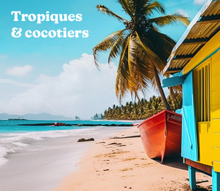 Tropiques et cocotiers