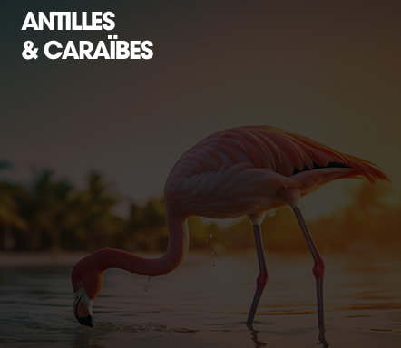 Antilles et Caraïbes