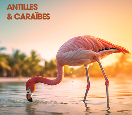 Antilles et Caraïbes