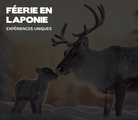 Féerie en Laponie - Expériences uniques