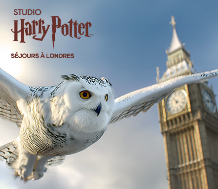 Londres x Studio Harry Potter