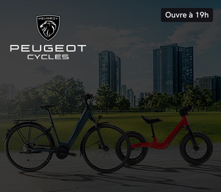 Peugeot Cycles