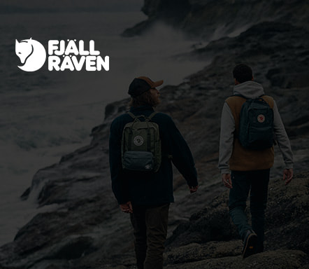 Fjäll Räven