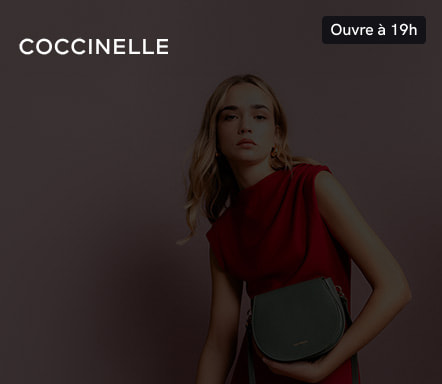 Coccinelle