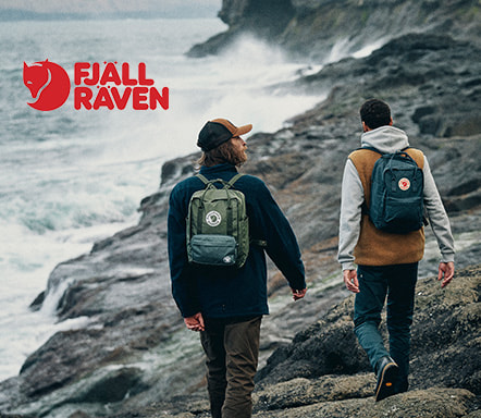 Fjäll Räven