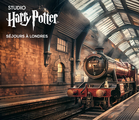 Londres x Studio Harry Potter