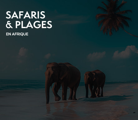 Afrique : plages et safaris