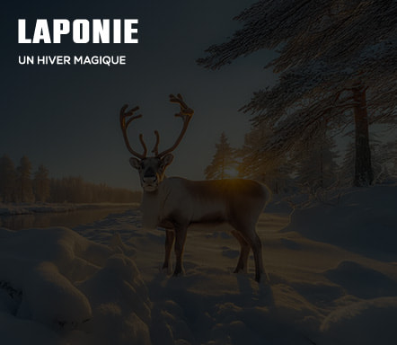 Laponie | Un hiver magique