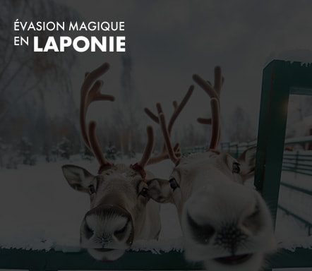 Évasion magique en Laponie