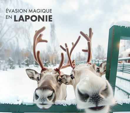 Évasion magique en Laponie