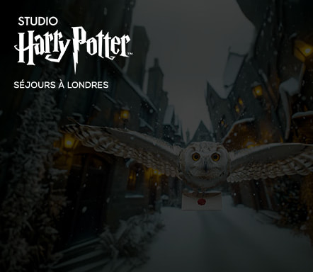 Londres x Studio Harry Potter