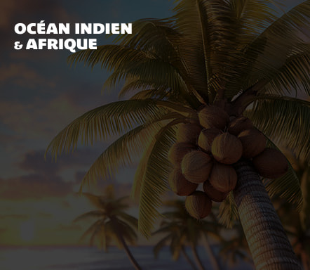 Afrique & Océan Indien 