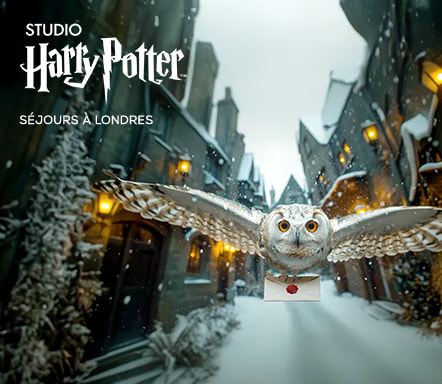 Londres x Studio Harry Potter