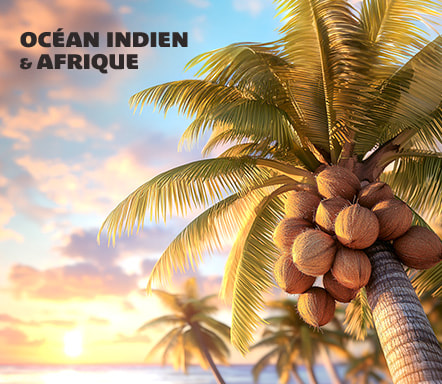 Afrique & Océan Indien 