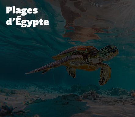 Plages d'Égypte