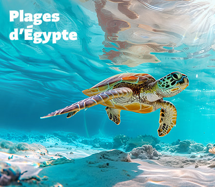 Plages d'Égypte