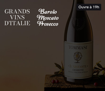 Grands vins d'Italie