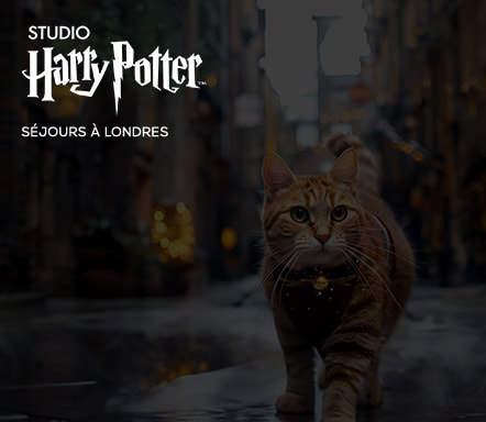 Londres x Studio Harry Potter