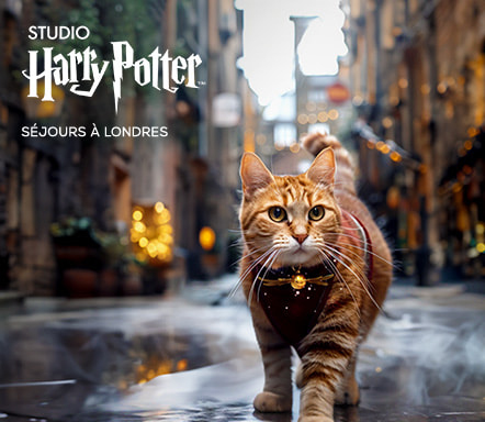 Londres x Studio Harry Potter